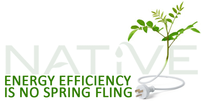 energy efficiency