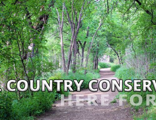 Conserving Land in the Hill Country