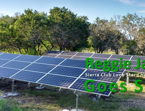 Sierra Club Lone Star Chapter Director Goes Solar