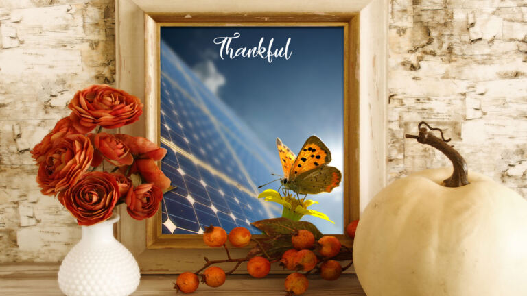 thankful