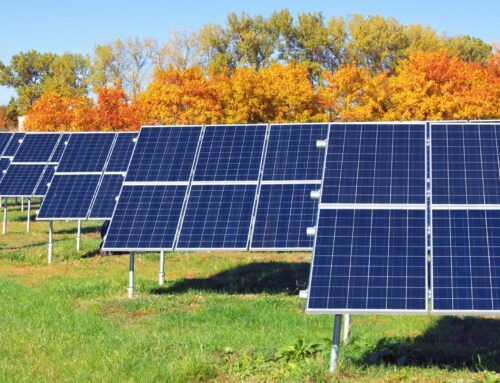 Solar Panels in the Fall Season