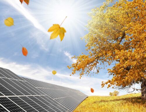 Preparing Your Solar System for Fall