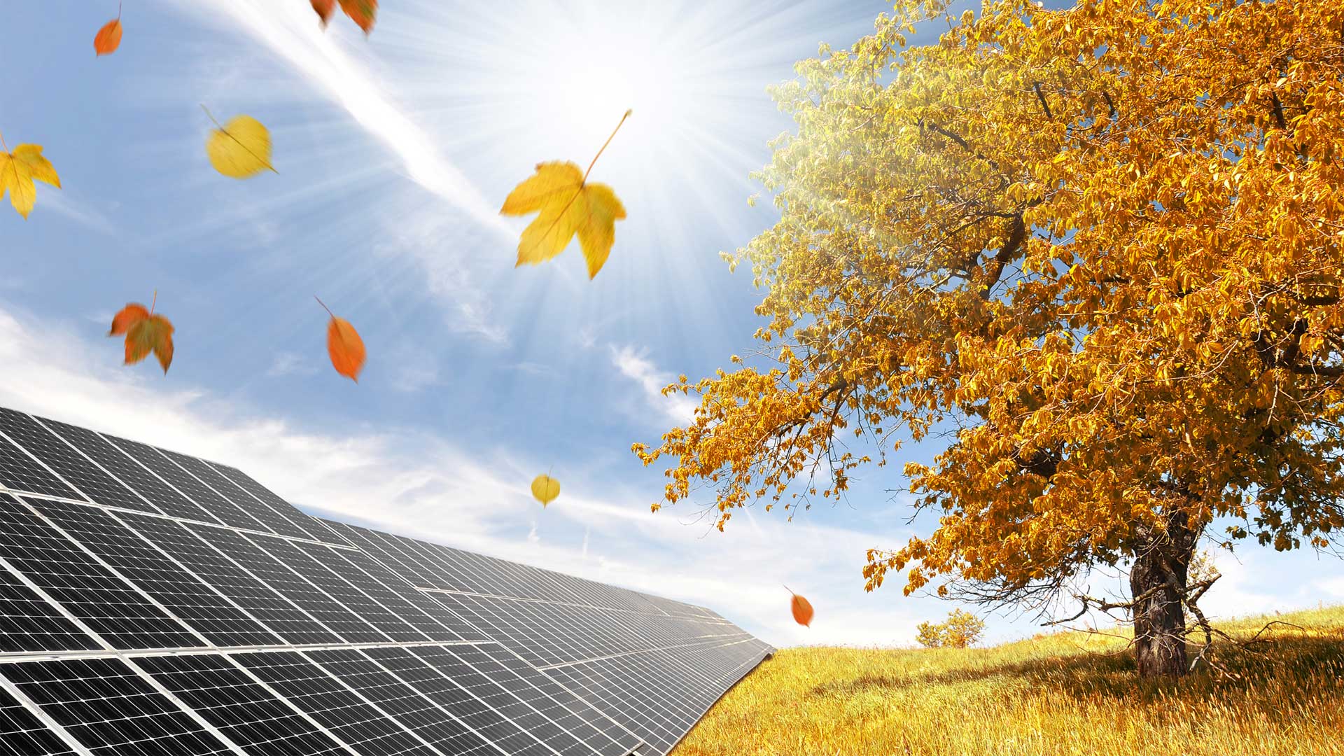 Preparing Your Solar System for Fall