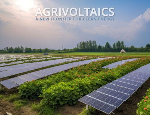 Agrivoltaics in Texas