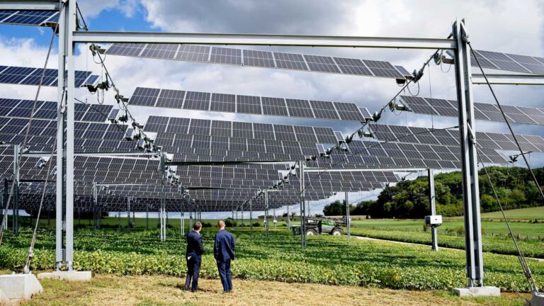 Agrivoltaics-Texas