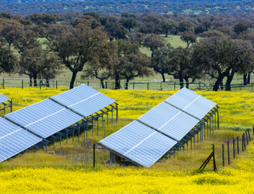 Texas’ Hill Country Solar Growth Corridors – Huge Opportunity for Solar+Battery Microgrids