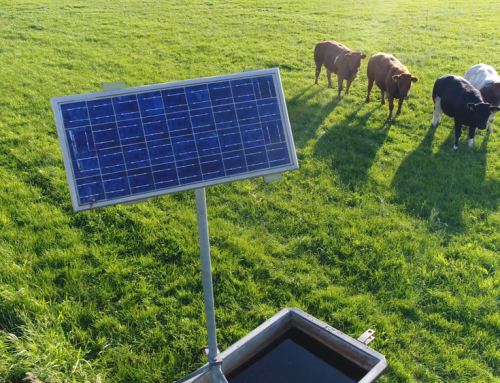 The State of Solar in the State of Texas  – March News Digest