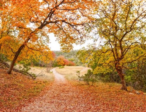 Fall in Texas is Coming – Here’s the Solar News from around Texas for September