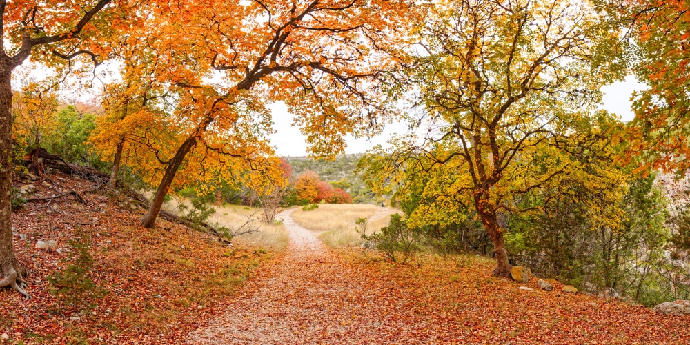 Fall in Texas is Coming &ndash; Here&rsquo;s the Solar News from around Texas for September